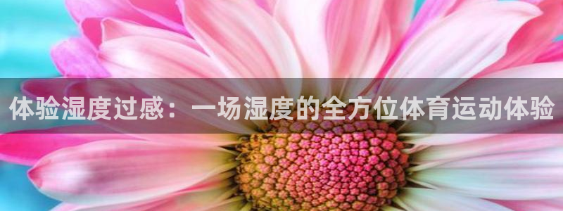 蚂蚁体育app下载安装官方免费版：体验湿度过感：一场湿度的全方位体育运动体验