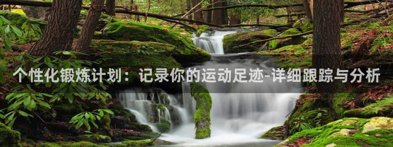 蚂蚁体育要钱吗：个性化锻炼计划：记录你的运动足迹-详细跟踪与分析
