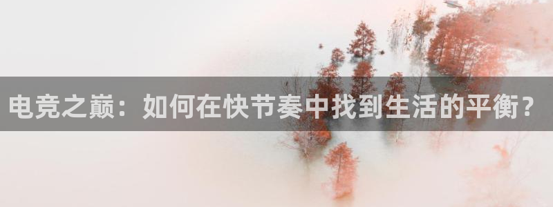 蚂蚁体育收费吗：电竞之巅：如何在快节奏中找到生活的平衡？