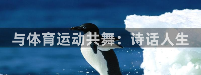 蚂蚁体育买的是正品吗：与体育运动共舞：诗话人生