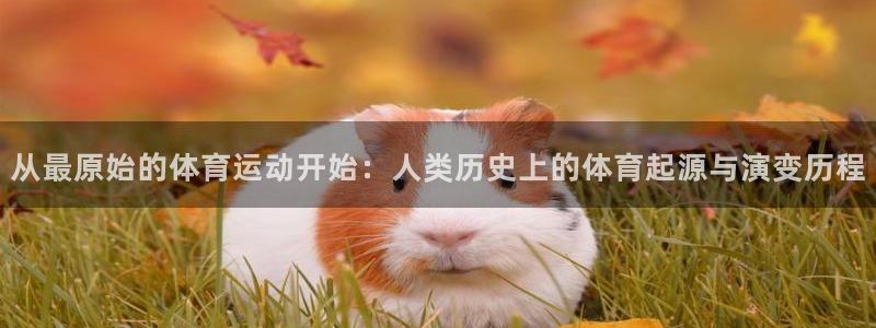 蚂蚁体育九球直播：从最原始的体育运动开始：人类历史上的体育起源与演变历程