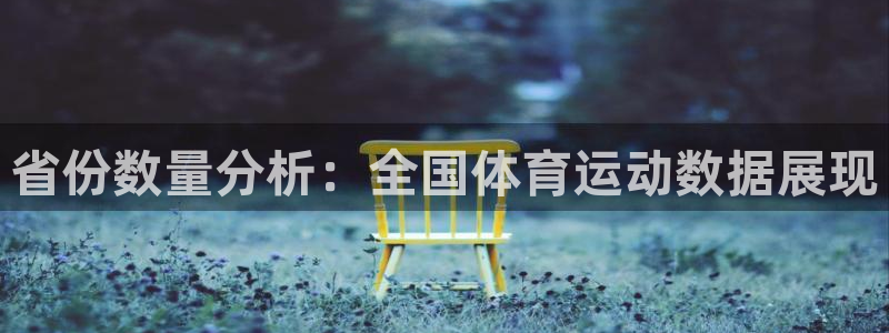 蚂蚁体育下载：省份数量分析：全国体育运动数据展现