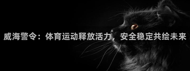 蚂蚁体育九球直播：威海警令：体育运动释放活力，安全稳定共绘未来