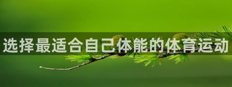 蚂蚁体育直播NBA：选择最适合自己体能的体育运动