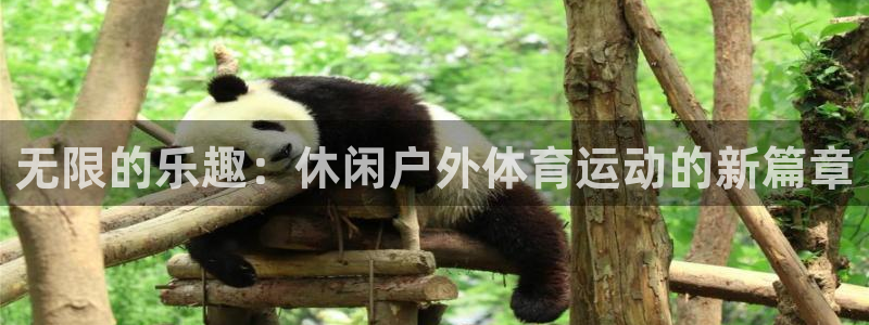 蚂蚁体育网店是正品吗：无限的乐趣：休闲户外体育运动的新篇章